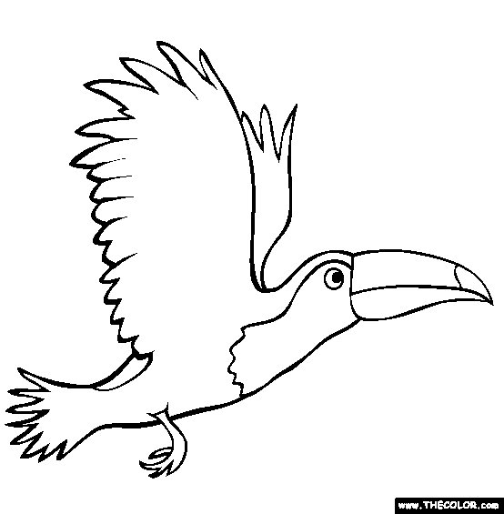 Flying Toucan Coloring Page